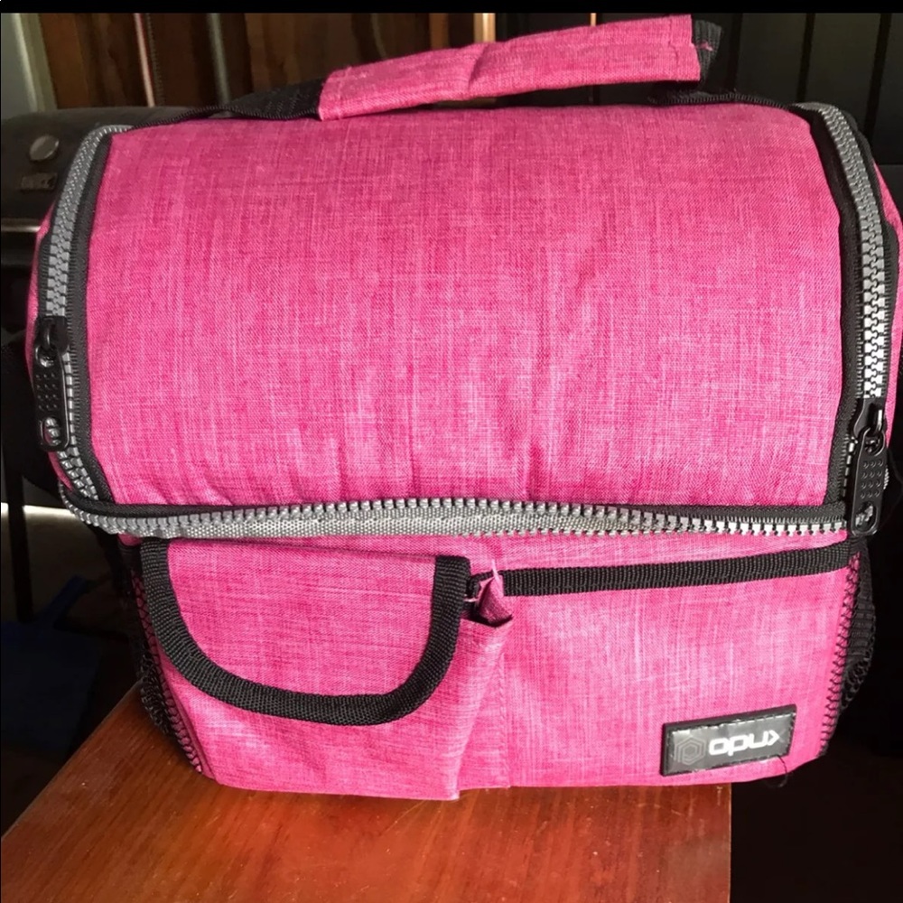 Large Pink Lunch Box